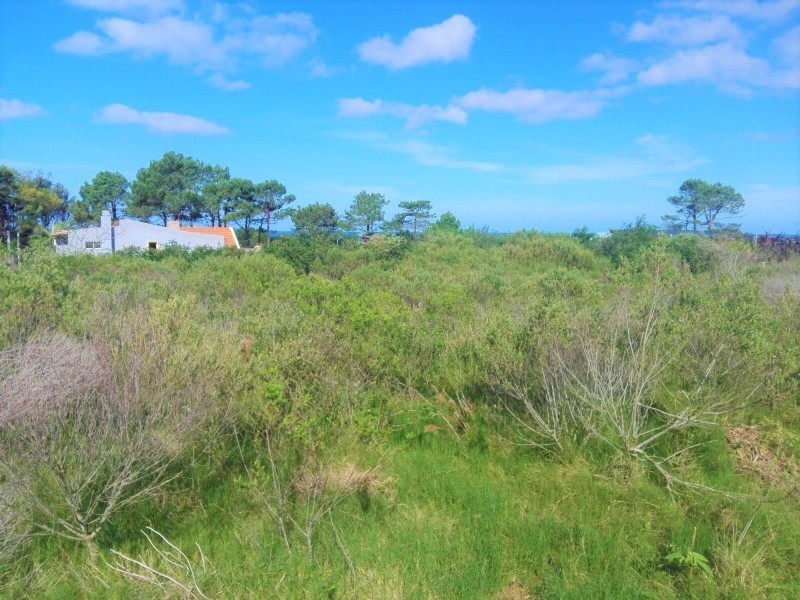 Lindo terreno en segunda linea de mar en Balneario Buenos Aires